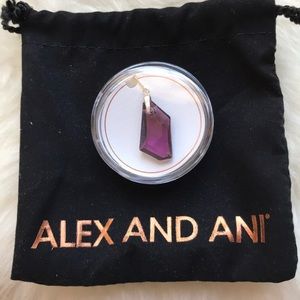 alex and ani necklace charm